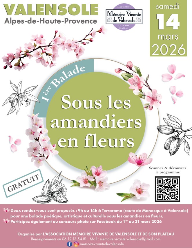 Programme des manifestations
